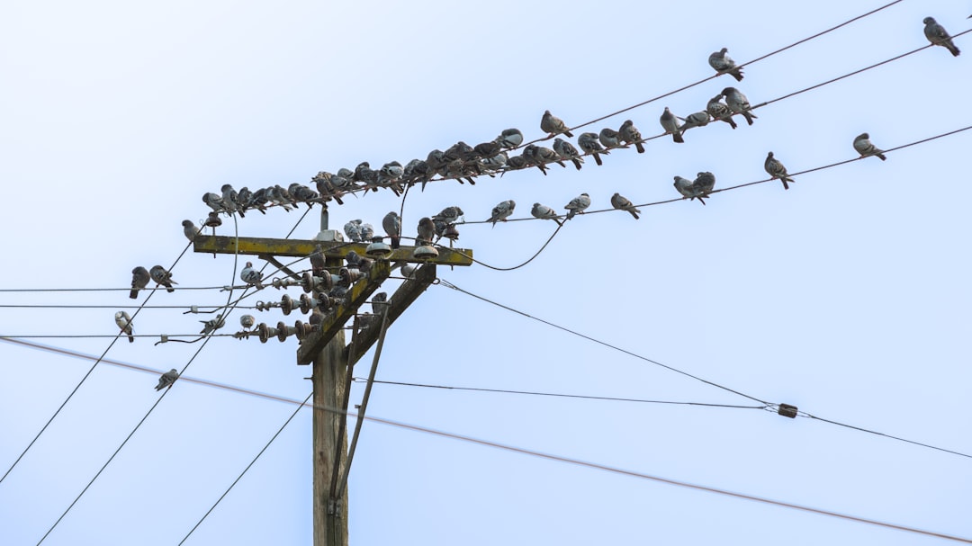 Non-Intrusive Utility detection