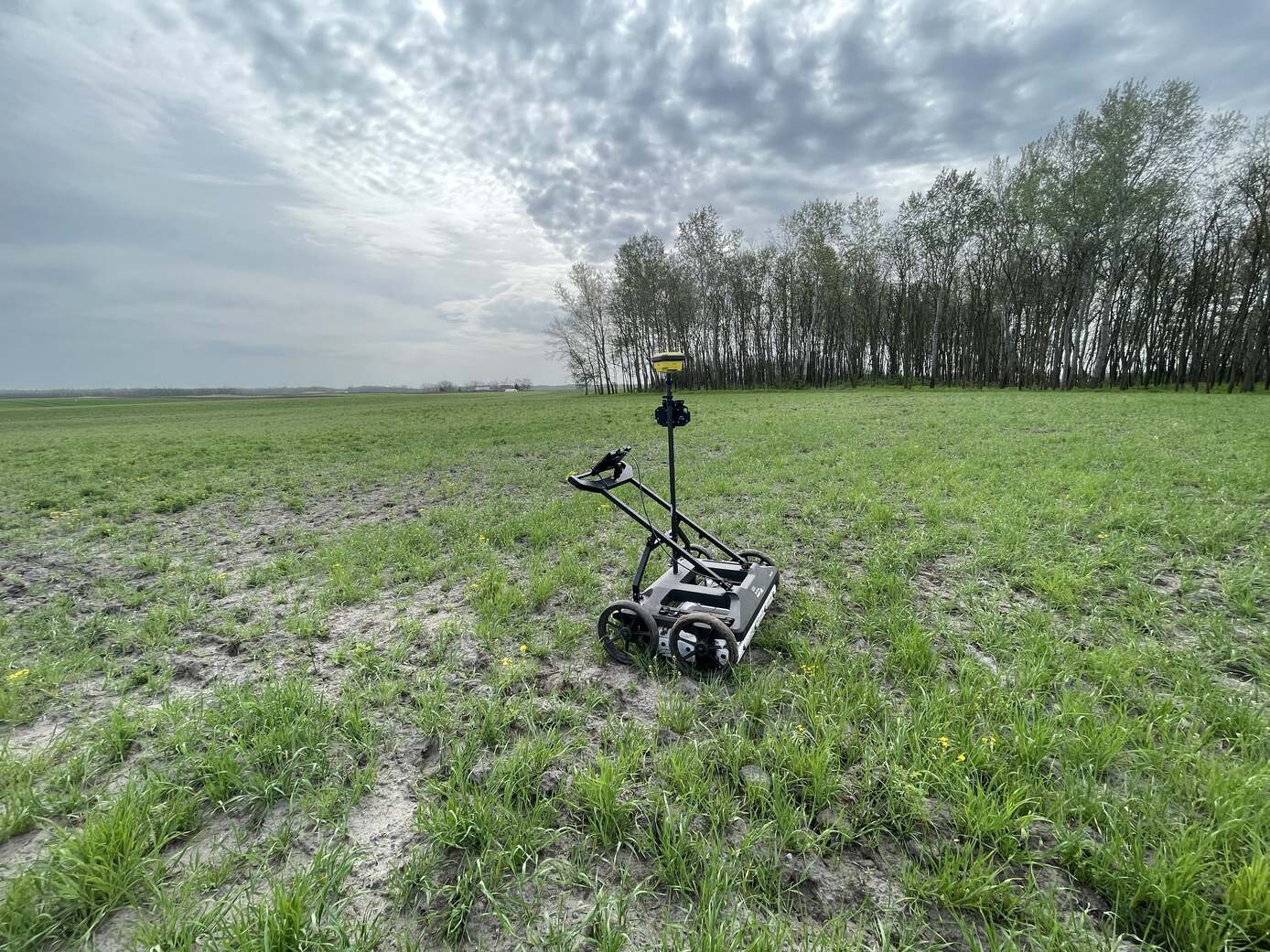 Georadaros szolgáltatások